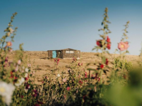 Succah in the Desert